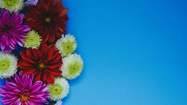 灵活的脚下 灵活的脚下