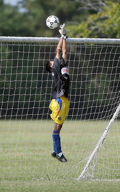 太阳的新 太阳的新