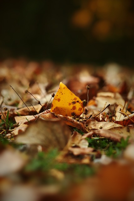 場上爭議 場上爭議