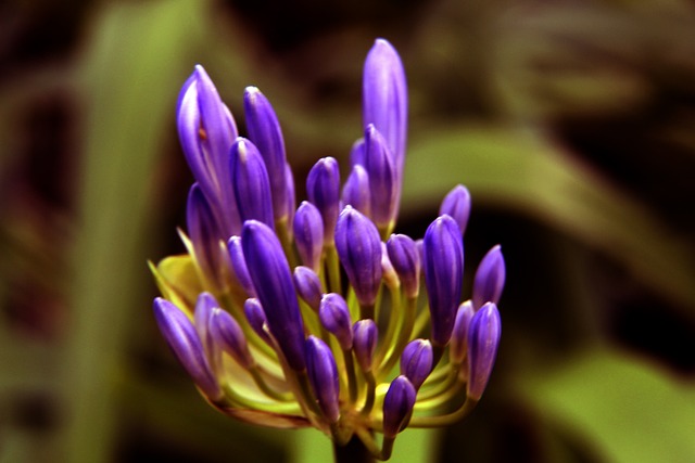 后有着复杂 后有着复杂