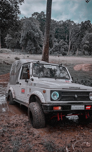 尽管面对各 尽管面对各