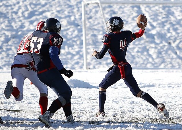 一个或多个 一个或多个