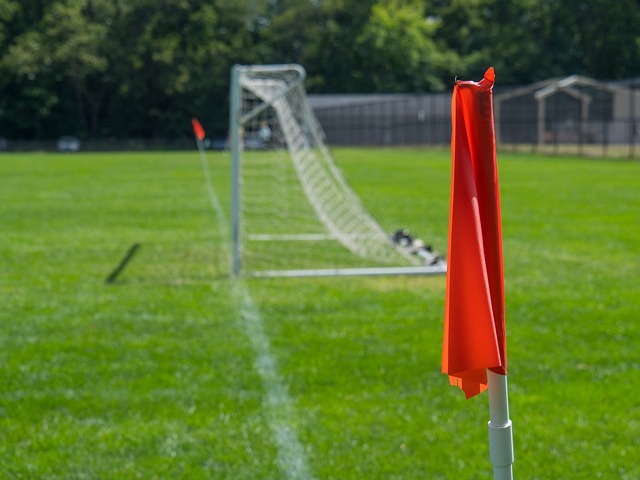 及整个球队 及整个球队