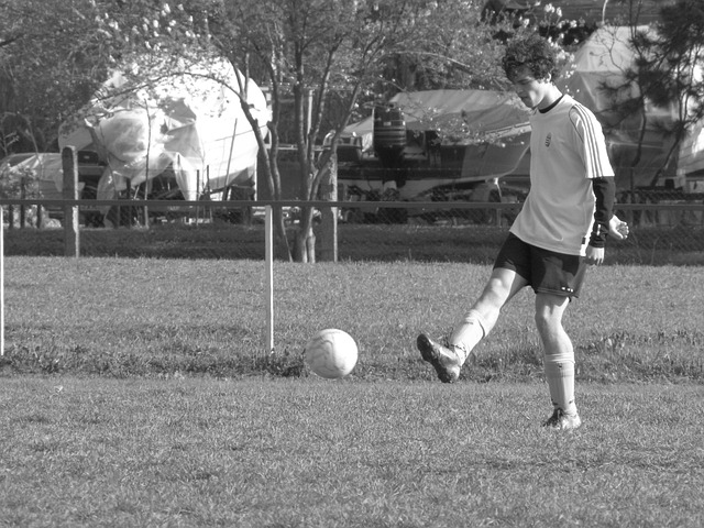的情感 的情感